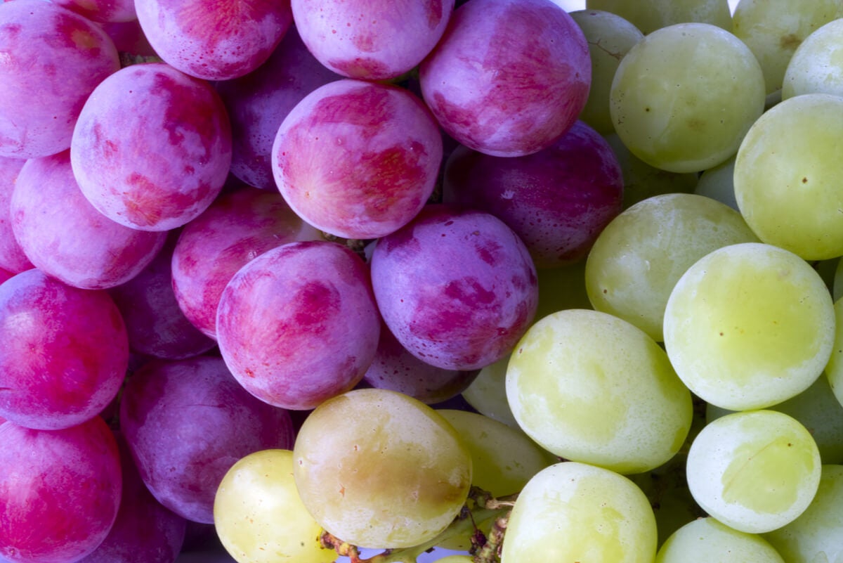 Uvas moradas y verdes